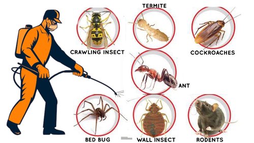 pest control services - A global enterprises