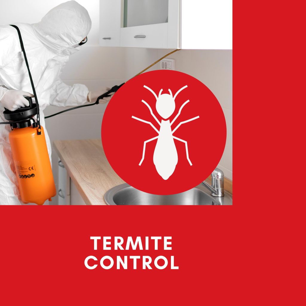 termite control services - A global enterprises