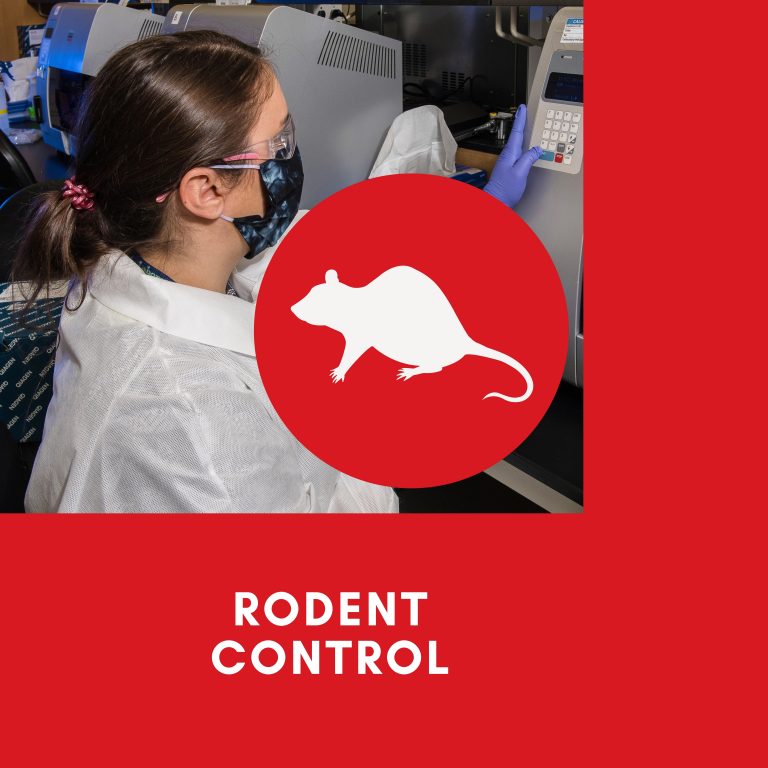 rodent control - A global enterprises