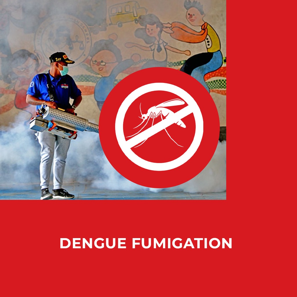 Dengu fumigation - A global enterprises